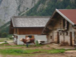 2013-09-08_7Falkenhuette_Eng (063).JPG